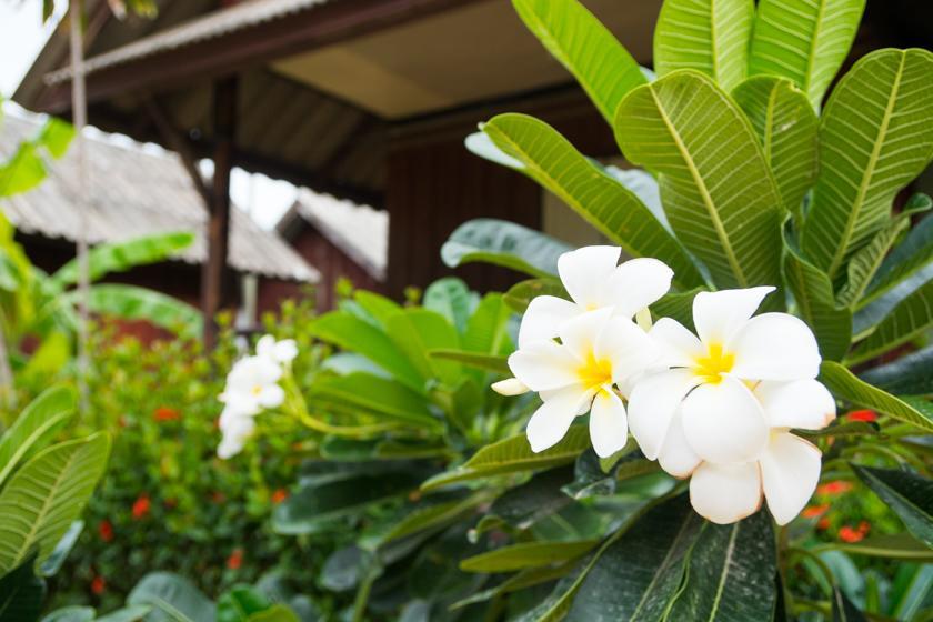 Weekender Bungalow Lamai Beach  Ngoại thất bức ảnh