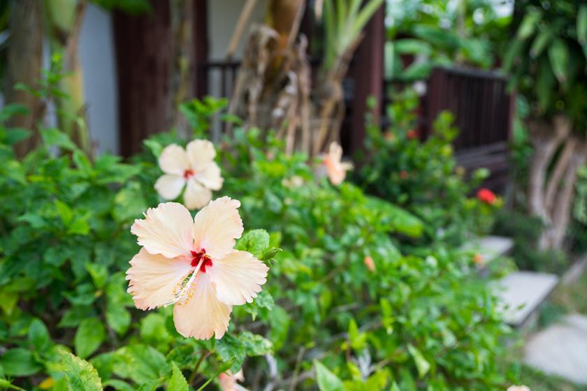 Weekender Bungalow Lamai Beach  Ngoại thất bức ảnh